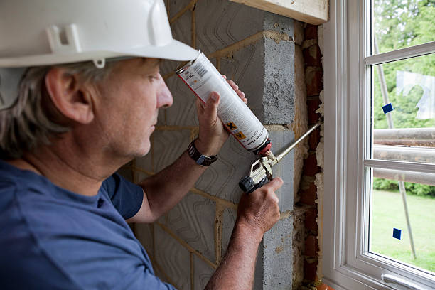 Best Eco-Friendly Insulation in Ramblewood, NJ